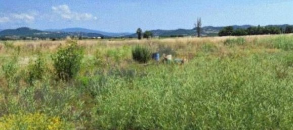 Grundstück in Casalnoceto, Italy 720m², Nr. 316131 2