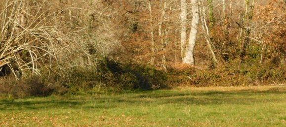  Land in Cazaubon, France No. 109427 2