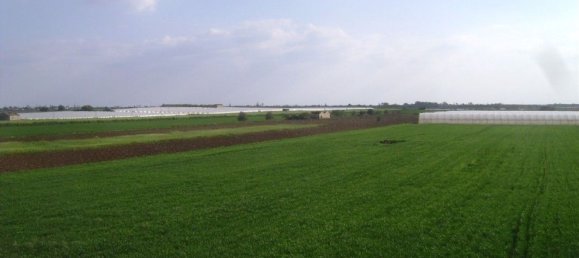 3غرفة منزل في Noto, Italy رقم 67866 8