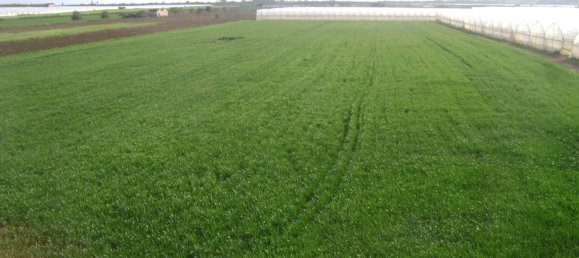 3غرفة منزل في Noto, Italy رقم 67866 9