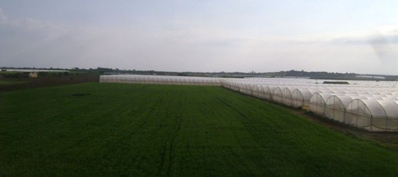 3غرفة منزل في Noto, Italy رقم 67866 16