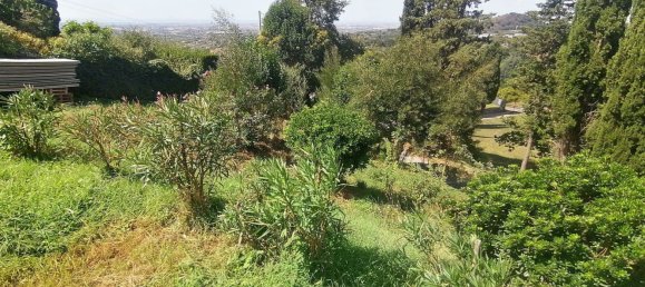 Вилла с 2 спальнями в Дженцано ди Рома, Италия № 339953 35