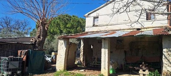 6-Zimmer Wohnung in Senigallia, Italy, Nr. 10408 6