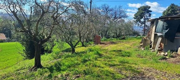 6-Zimmer Wohnung in Senigallia, Italy, Nr. 10408 10