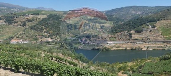 4436m² Land in Penajoia, Portugal No. 92147 2