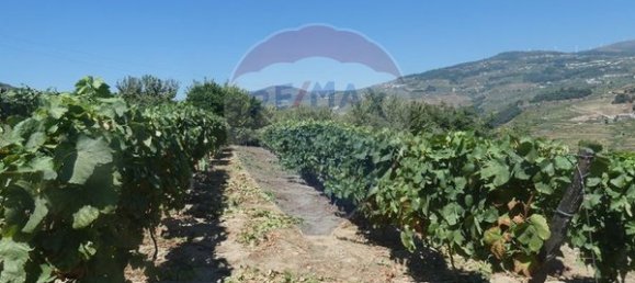 4436m² Land in Penajoia, Portugal No. 92147 7