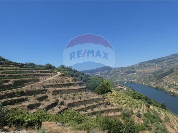 4436m² Land in Penajoia, Portugal No. 92147