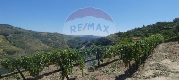 4436m² Land in Penajoia, Portugal No. 92147 8
