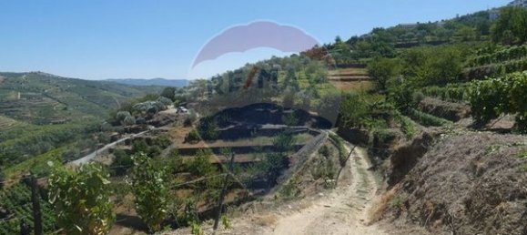 4436m² Land in Penajoia, Portugal No. 92147 5