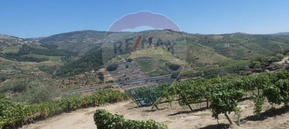 4436m² Land in Penajoia, Portugal No. 92147 3
