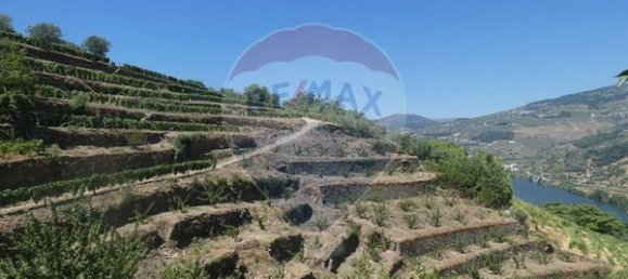 4436m² Land in Penajoia, Portugal No. 92147 6