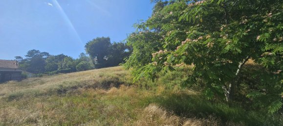 Grundstück in Castets, France, Nr. 276637 2