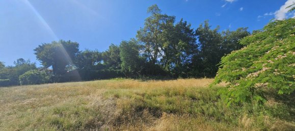 Grundstück in Castets, France, Nr. 276637 5