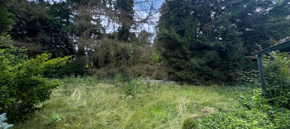 Terreno en Nuremberg, Germany No. 312896 2