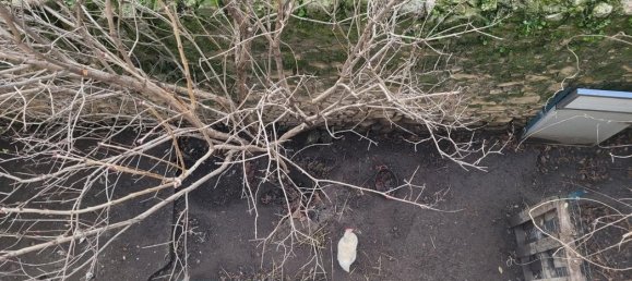 2 غرف نوم منزل في Autignac, France رقم 38109 5