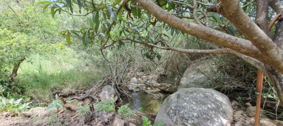 1 Schlafzimmer Haus in Cefalù, Italy, Nr. 106718 16
