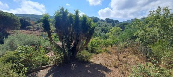 1 Schlafzimmer Haus in Cefalù, Italy, Nr. 106718 14