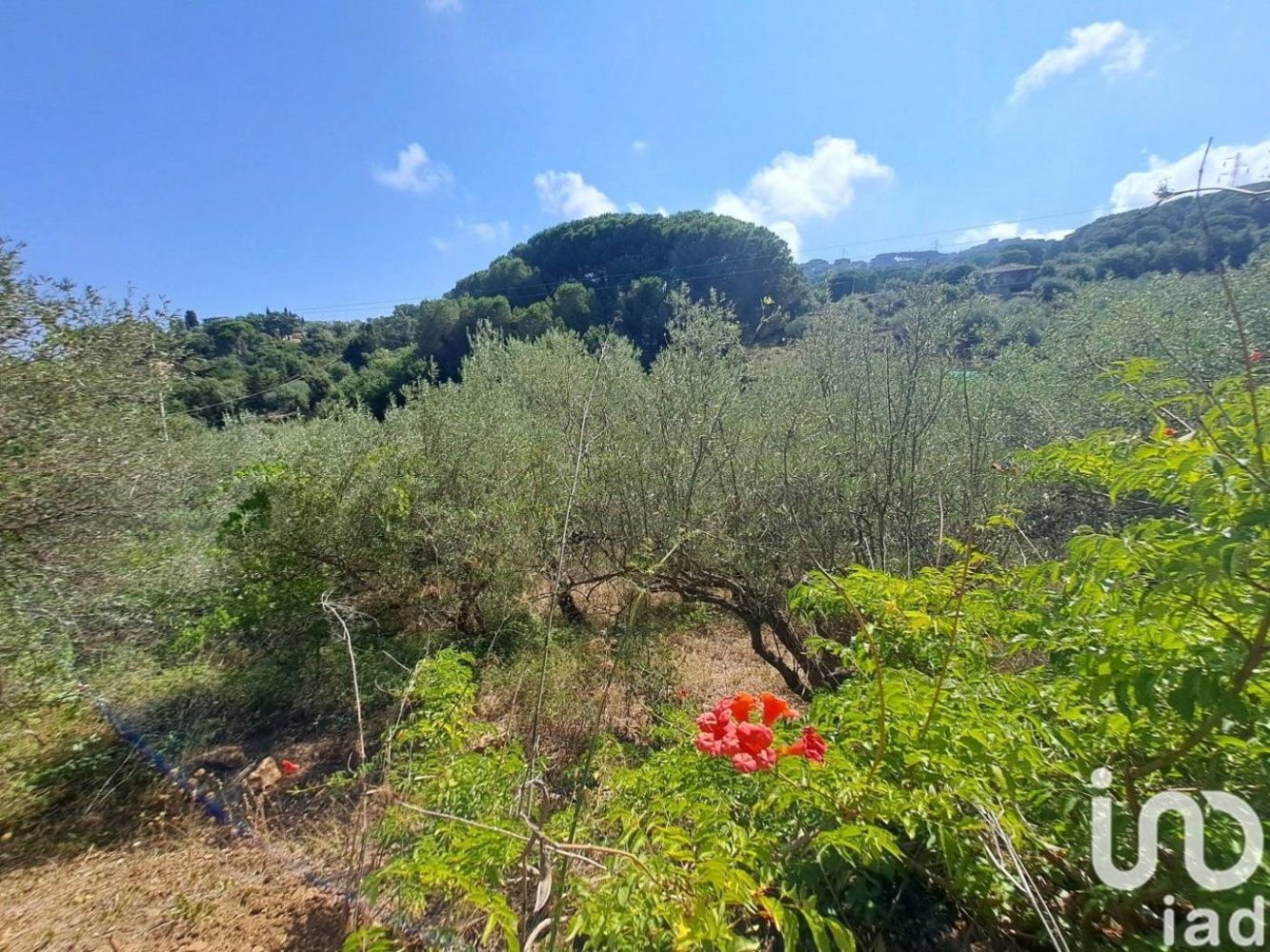 1 Schlafzimmer Haus in Cefalù, Italy, Nr. 106718