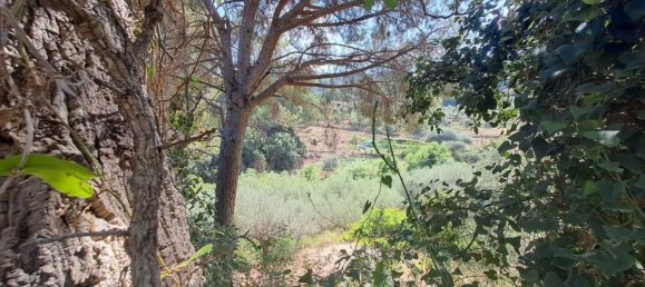 1 Schlafzimmer Haus in Cefalù, Italy, Nr. 106718 15