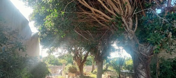 8-Zimmer Villa in Castelvetrano, Italy, Nr. 209238 16