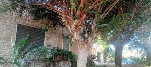 8-Zimmer Villa in Castelvetrano, Italy, Nr. 209238 7