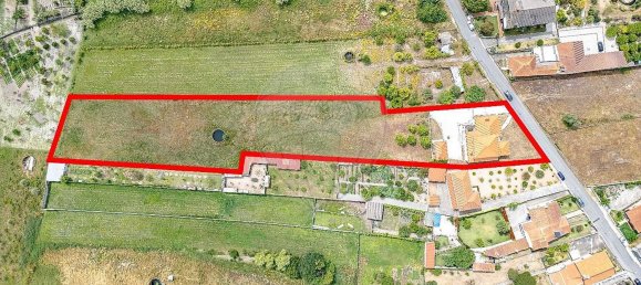 4 Schlafzimmer Haus in Febres, Portugal, Nr. 160438 29