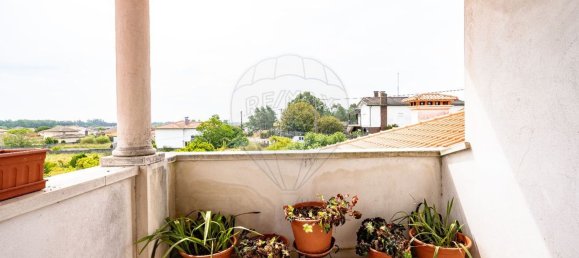 4 Schlafzimmer Haus in Febres, Portugal, Nr. 160438 14