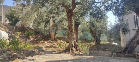 Casa de 4 dormitorios en Grotteria, Italy No. 337351 13