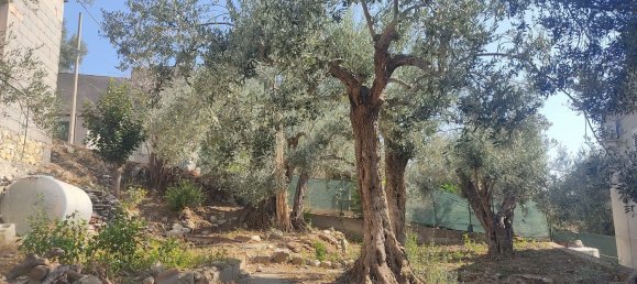 Casa de 4 dormitorios en Grotteria, Italy No. 337351 12