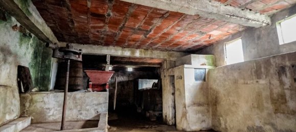 3 Schlafzimmer Haus in Figueira da Foz, Portugal, Nr. 10111 17