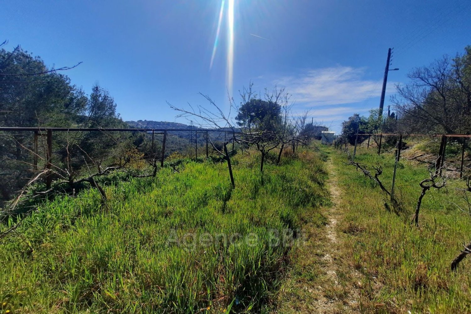 7331m² Land in Nice, France No. 95693