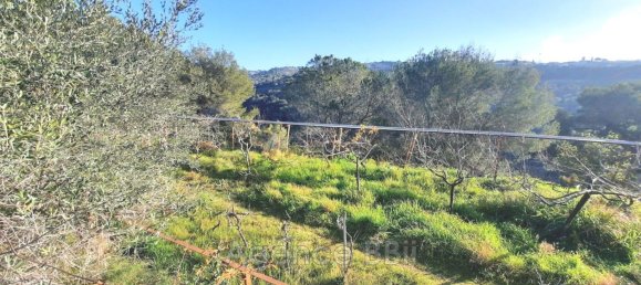 7331m² Land in Nice, France No. 95693 8