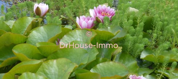 Casa de 2 dormitorios en Warlaing, France No. 50998 6