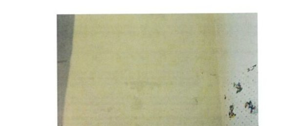 3 rooms Apartment in Scandicci, Italy No. 44247 17