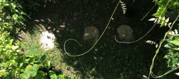 Вилла с 9 комнатами в Алессандрия, Италия № 49493 18