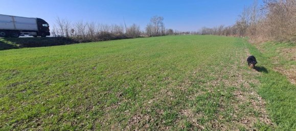 12200m² Land in Poggio Rusco, Italy No. 120801 7