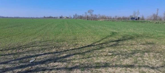 12200m² Land in Poggio Rusco, Italy No. 120801 2