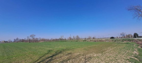 12200m² Land in Poggio Rusco, Italy No. 120801 13