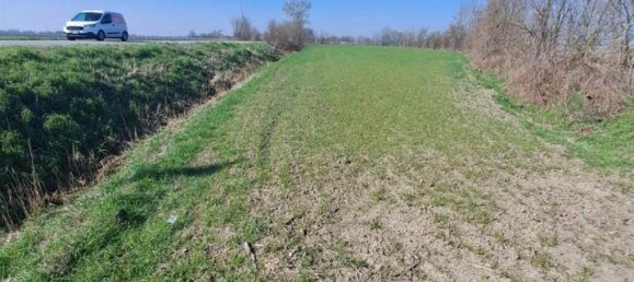 12200m² Land in Poggio Rusco, Italy No. 120801 12