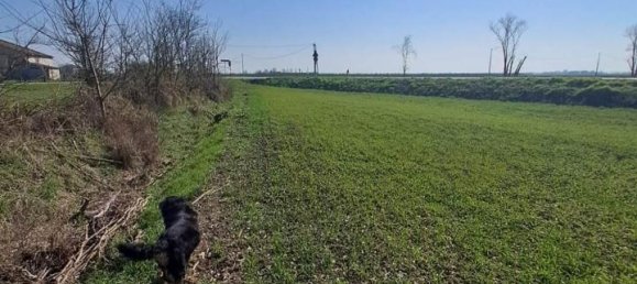 12200m² Land in Poggio Rusco, Italy No. 120801 16