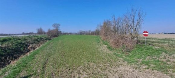 12200m² Land in Poggio Rusco, Italy No. 120801 6