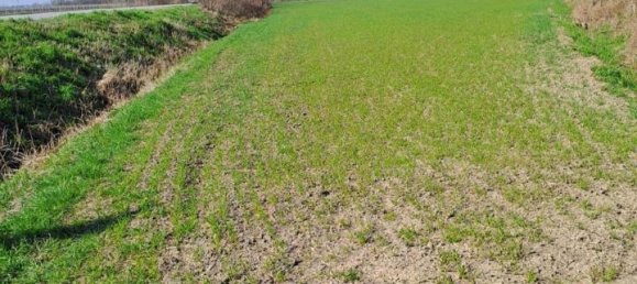 12200m² Land in Poggio Rusco, Italy No. 120801 3