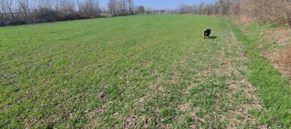 12200m² Land in Poggio Rusco, Italy No. 120801 15