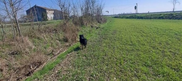 12200m² Land in Poggio Rusco, Italy No. 120801 10