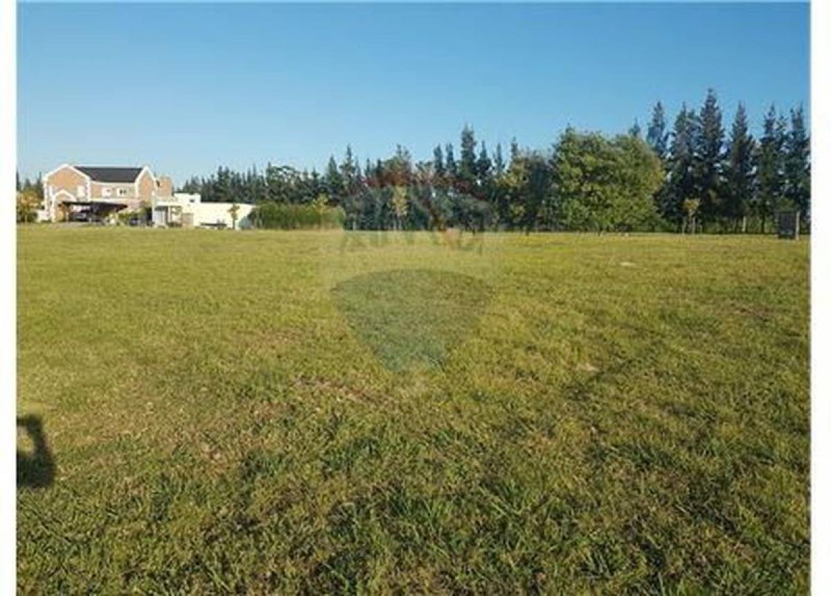 Земельный участок в Тигре, Аргентина № 48833