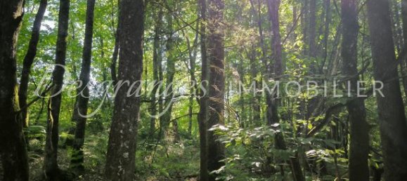 Terreno em Saint-Yrieix-la-Perche, France 38560 m² N.º 306623 6