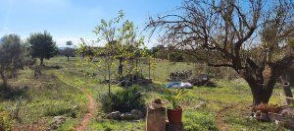 Casa de 3 dormitorios en Inca, Spain No. 140722 42