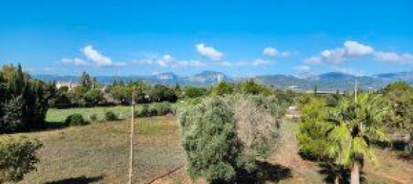 Casa de 3 dormitorios en Inca, Spain No. 140722 5