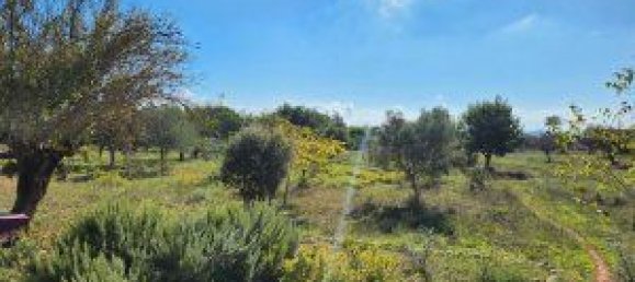 Casa de 3 dormitorios en Inca, Spain No. 140722 41