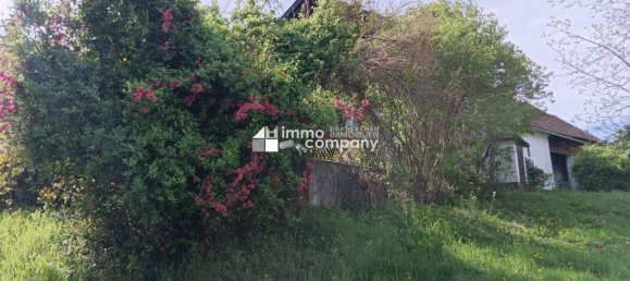 4-Zimmer Haus in Güssing, Austria, Nr. 176357 5